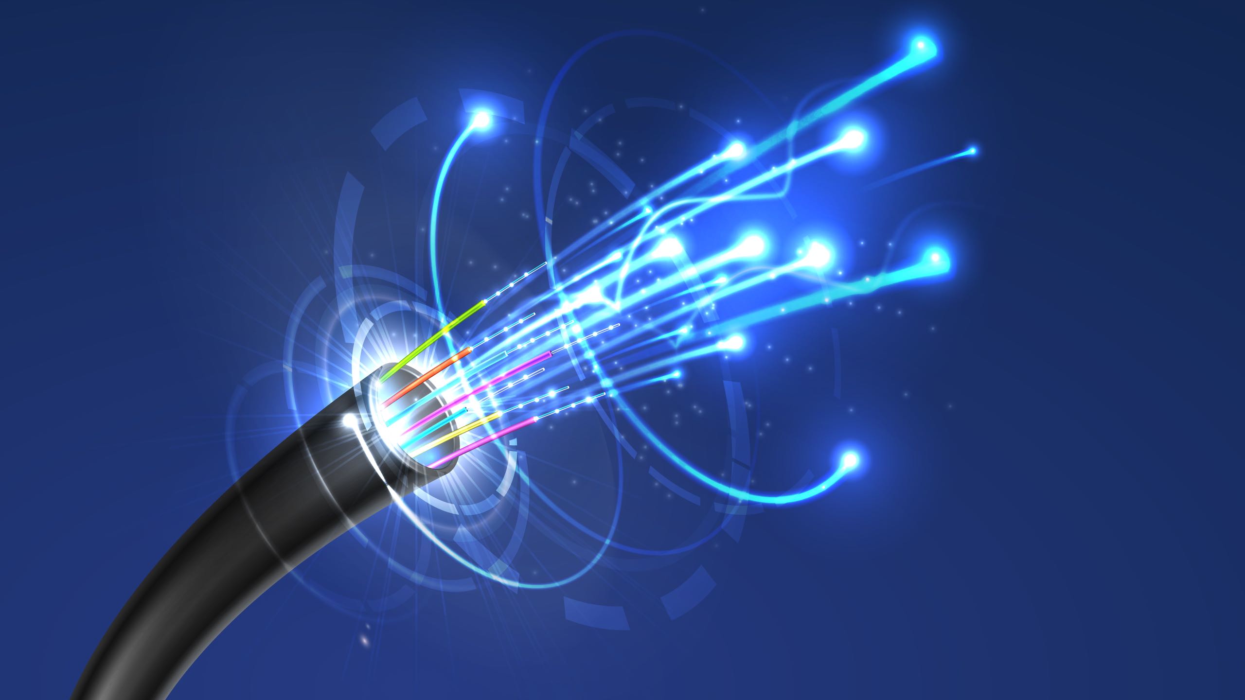 Fiber Optic